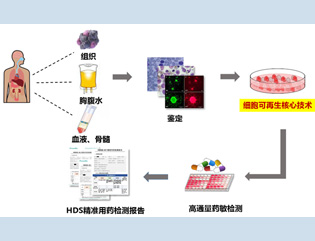 HDS技术.jpg