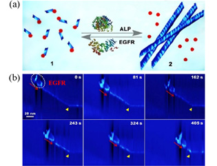 陆轻铀nanoscale-附件.jpg