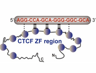 SM3-JPC-附件.jpg