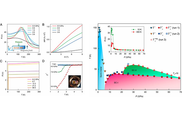 Pressure-induced superconductivity in a three-dimensional topological materia...