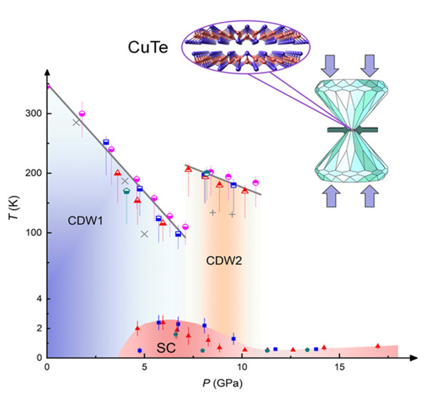 Two distinct charge density wave orders and emergent superconductivity in pre...