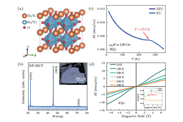 Ultrafast Spin–Phonon Coupling Dynamics inBiFeO3-Bi0.5 K0.5 TiO3  Single C...