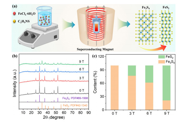 Regulating the phase composition and morphology of iron sulfide via a high ma...