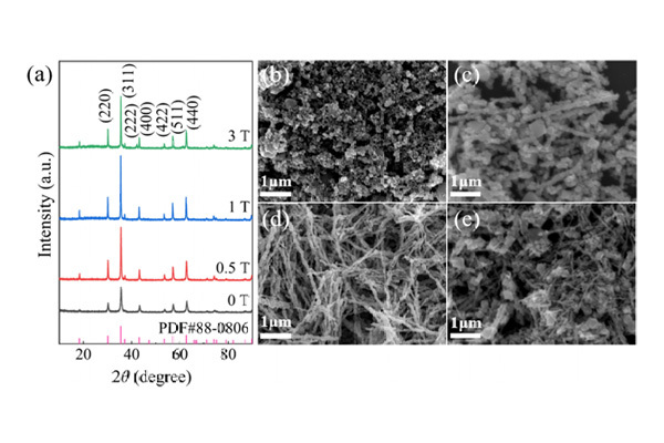 Synthesis of high-aspect ratio Fe3O4   nanostructures via magnetic field gu...