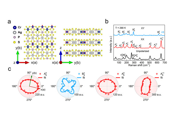 Mirror Symmetry Triggered Chiral Phonon Behavior and Phonon Mode-Dependent Ma...